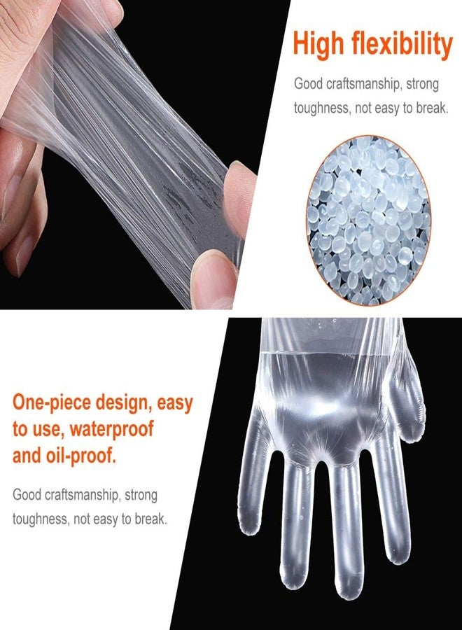 RBGIIT Biodegradable Food Grade Disposable Hand Gloves | Transparent & Disposable Gloves | Universal Size Gloves | For Gardening, Cleaning, Food Handling, Cooking and Public Areas - Image 4
